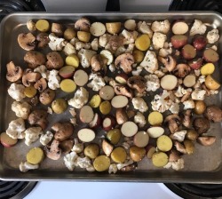 Potatoes, cauliflower and mushrooms set to