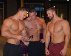 muscular guys, bodybuilders and my states of soul.