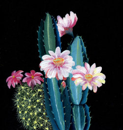 cactuslands:  artandpeople 