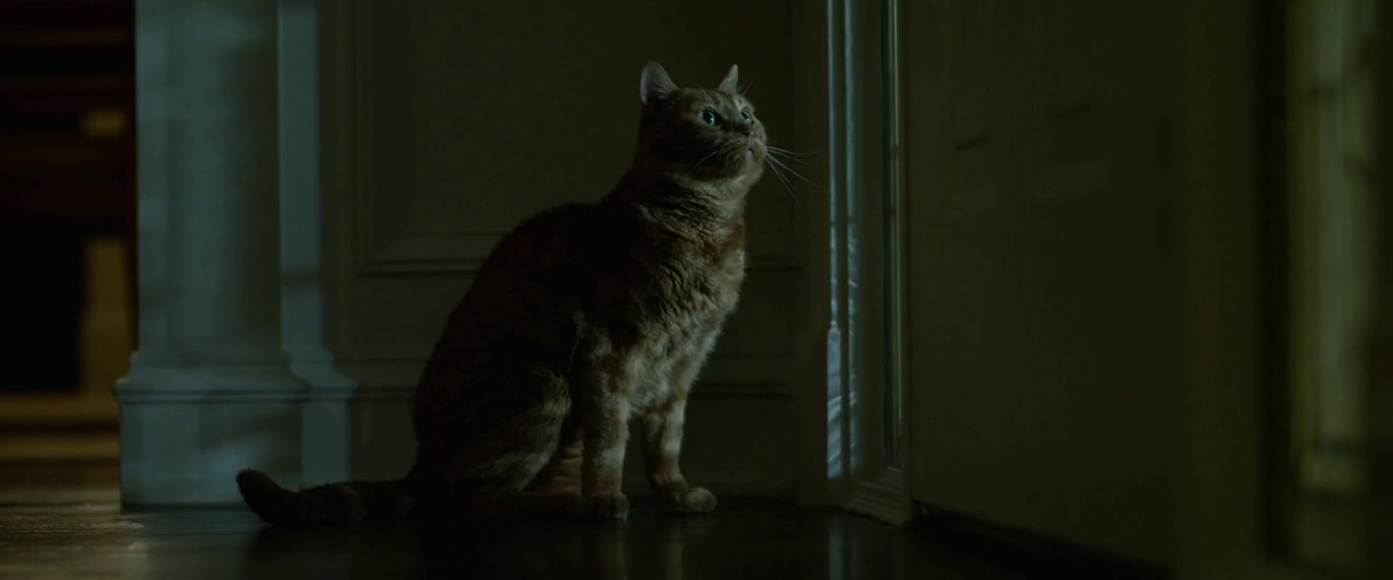 movies-as-photographs:  Gone Girl (2014, USA) 4 | 3 | 3Director: David FincherCinematographer: Jeff