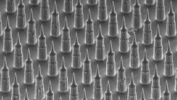 makingsciencecool:  Needle-less Vaccines to Start Human Trials The Nanopatch, smaller than a stamp with thousands of vaccine-coated micro-projections, is set to start human trials later this year.  If successful, the Nanopatch would both remove the pain