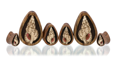 Shell Teardrop Plugs A statuesque spiral seashell, crafted from Curly Maple and Pink Ivory, inlayed 