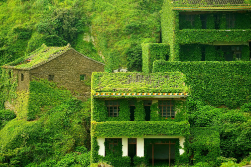 softwaring: Abandoned fishing village on Gouqi island, Zhoushan, China. Photos by Jane Qing.