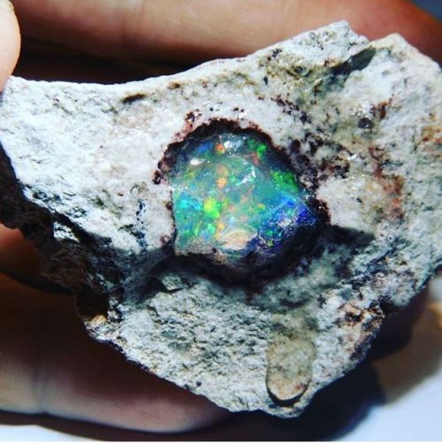 mineraliety: October’s birthstone, Opal, in the raw via @ethiopianopals ////// www.instagram.c