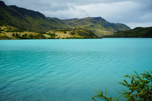 90377: Chile Patagonia by Elaine Chen