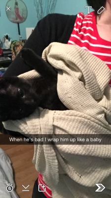 gypsyrose27:  Honeybear has such a rough life.  Jelous