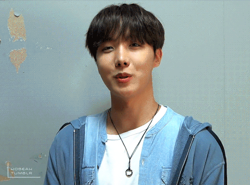 3/30 Days Of Jung Hoseok The Stay Gold MV Fit Vid Cr. Namuspromised