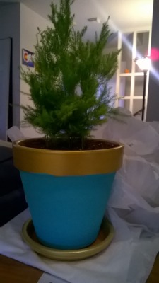 My asparagus fern in the pot I hand painted