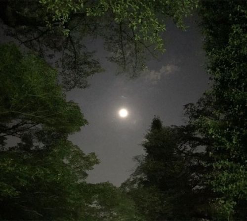 moon1cs - BULAN