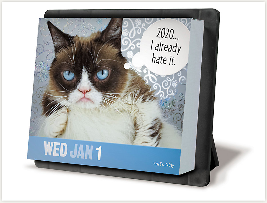the-all-new-grumpy-cat-2020-year-in-a-box-calendar-from-meadcalendars-is-available-now-makes