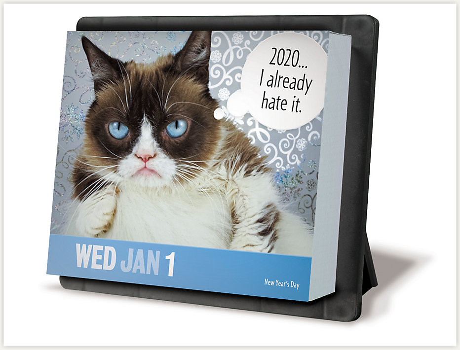 The All New Grumpy Cat 2020 Year In A Box Calendar From meadcalendars Is Available Now Makes