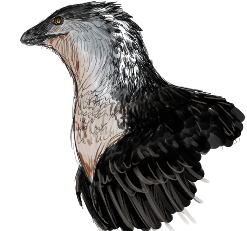 Doodling dinosaurs before bed. Above, a startled troodontid raises her hackles, exposing the white f