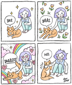 funwithabunny:  tastefullyoffensive: “Basically every time I pet my cat.” - Ann Chen  @thefierypineneedle 