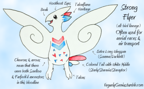 My Best Friend's Favorite Pokemon Is Togekiss, So For Her Birthday, I Drew Some Togekiss Variations!