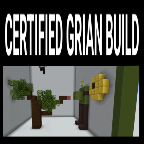 Certified Grian Build