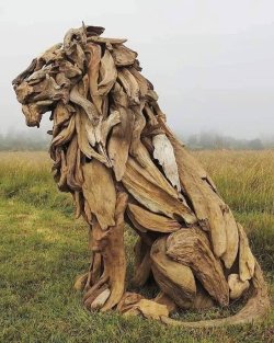 dvllish:  ccaben:  1confuciousone: sixpenceee: Lion driftwood sculpture    Yummy   Sexy and uncut!