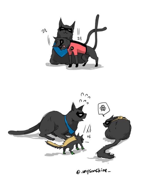 mysonshineblr:Bat-cat family 