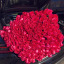 rose-petals2