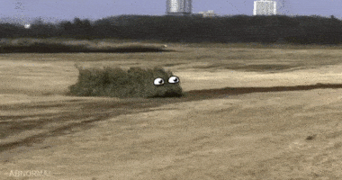 notnumbersix:  magoro: priest-of-hell:  These gifs… are the best…           