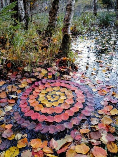 whimsigothwitch:Nature mandala’s 