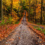 abenthy-in-autumn