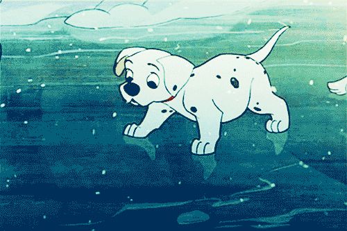 babyanimalposts:  feeling sad? you need this blog on your dash!