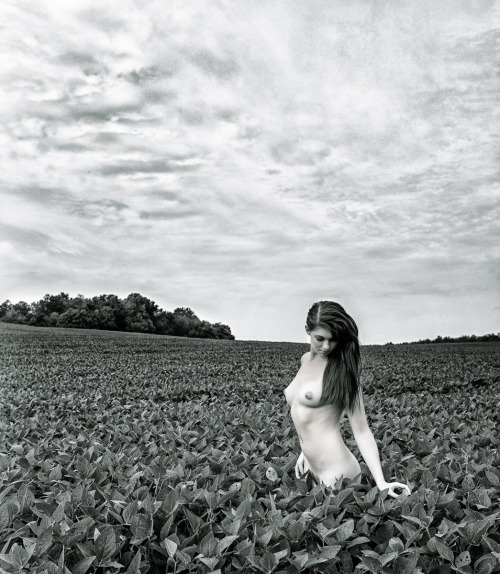 lensblr-network - This photograph of Arielita in a bean-field...