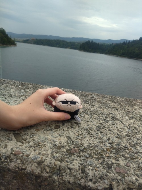 Wesker And Chris (Yeah, It's My First Thing From Wool And Needle Felting) Are On Vacation!