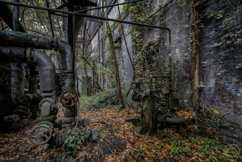 urbanrelicsphotography: VALVE GARDEN Near an abandoned steel mill we found a veritable valve garden.