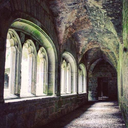 irisharchaeology:The medieval cloister at the Augustinian Friary in Adare, Co Limerick. This enclose