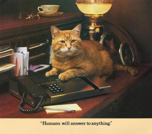 theunimpairedcondition:c86:Morris: A Cat For Our Times, 1986The more things change….