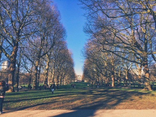 Green park, London. . . . . . . #vsco #vsco #vscophile #london #greenpark #myvscocam #moodygrams #sh