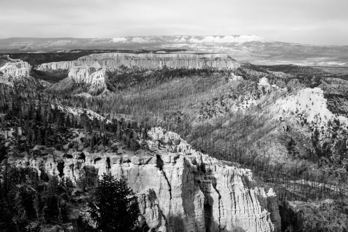 Bryce Canyon in Black and White // April 2014Photography by Korey Klein