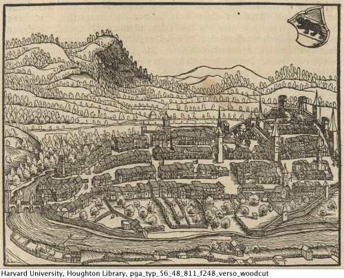 Stumpf, Johannes, 1500-1576? Gemeiner loblicher Eydgnoschafft Stetten, Landen vnd Völckeren Chr
