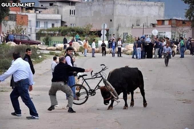 Tanrının çalışma sistemi...