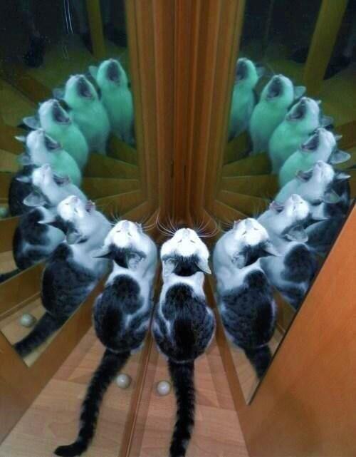 picsthatmakeyougohmm:hmmm
