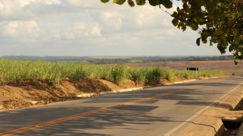 Da série &ldquo;Tem muito Brasil&rdquo;: Araçoiaba. A cidade nasceu em volta d