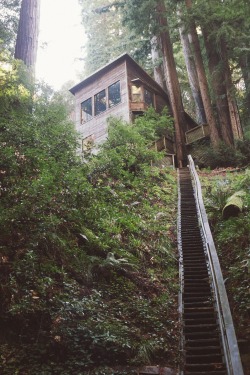 r2–d2:  House at the top of the stairs