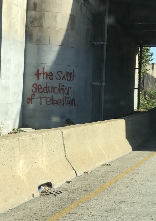 ‘The sweet seduction of rebellion’Philadelphia, Nov 2017