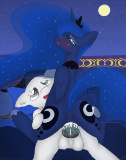 Valleygleamed:  Luna X Anon Stallion On A Bed With The Night Sky And Moon Visible,