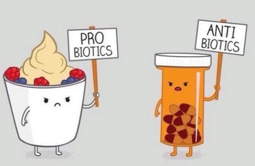 23pairsofchromosomes:  With all the biochemistry jokes being thrown around, here’s one from my end of the biology spectrum! 