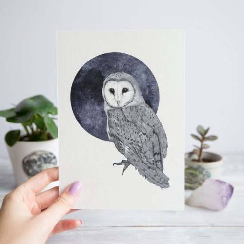 Barn Owl Art Print //AnyaRaczka