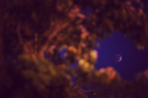 Eclipsing the Eclipse #bloodmoon #supermoon #eclipse #anaheim #moon #sky (at Two-Eight Photography)