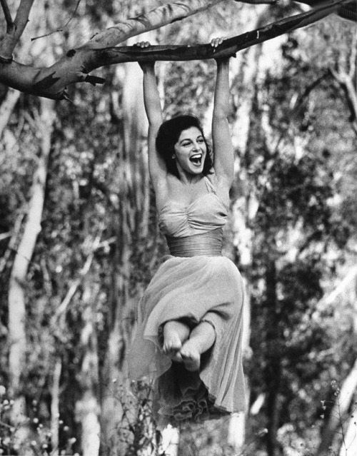 miss-vanilla:    Pier Angeli photographed in 50′s.