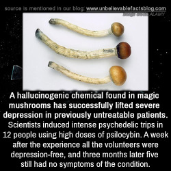 unbelievable-facts:  A hallucinogenic chemical