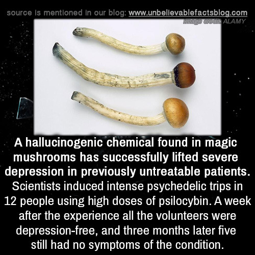 unbelievable-facts:  A hallucinogenic chemical porn pictures