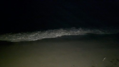Playa Del Sol