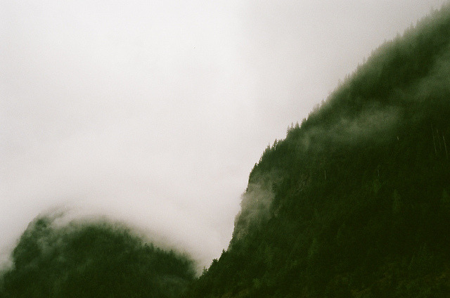 deletingmyself: (by Ajay Vishwanath) Tumblr 