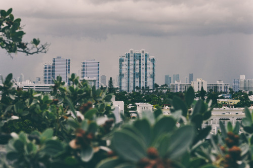 Above Collins  South Beach By: vpisdown Instagram: @_upisdown