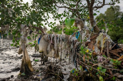 Npr:  Try This: Write A List Of Every Piece Of Plastic You Touch In A Day.i Did It.